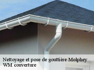 Nettoyage et pose de gouttière  molphey-21210 WM couverture