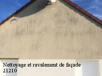 Nettoyage et ravalement de façade  21210