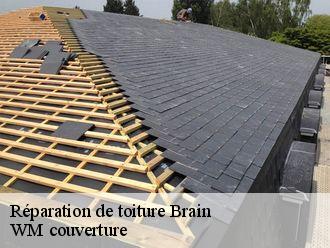 Réparation de toiture  brain-21350 WM couverture