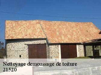 Nettoyage demoussage de toiture  21520