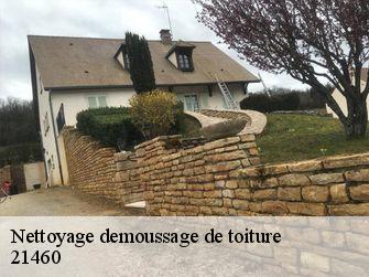 Nettoyage demoussage de toiture  21460