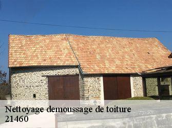 Nettoyage demoussage de toiture  21460