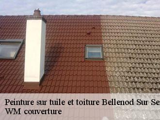 Peinture sur tuile et toiture  bellenod-sur-seine-21510 WM couverture