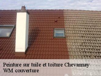 Peinture sur tuile et toiture  chevannay-21540 WM couverture