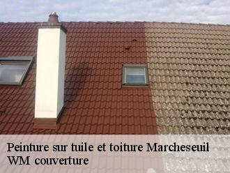 Peinture sur tuile et toiture  marcheseuil-21430 WM couverture