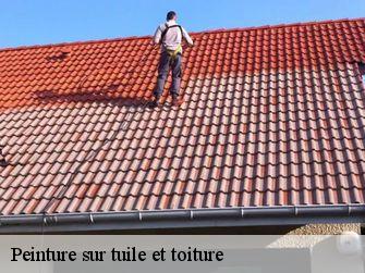 Peinture sur tuile et toiture  21330