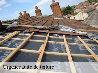 Urgence fuite de toiture  21420