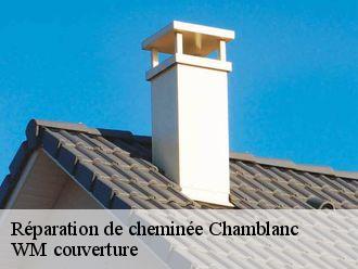 Réparation de cheminée  chamblanc-21250 WM couverture