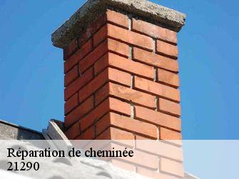 Réparation de cheminée  21290