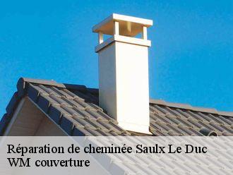 Réparation de cheminée  saulx-le-duc-21120 WM couverture